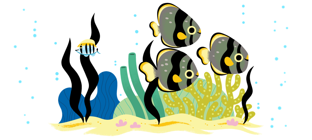 a group of three and a single fish swimming by aquatic plants